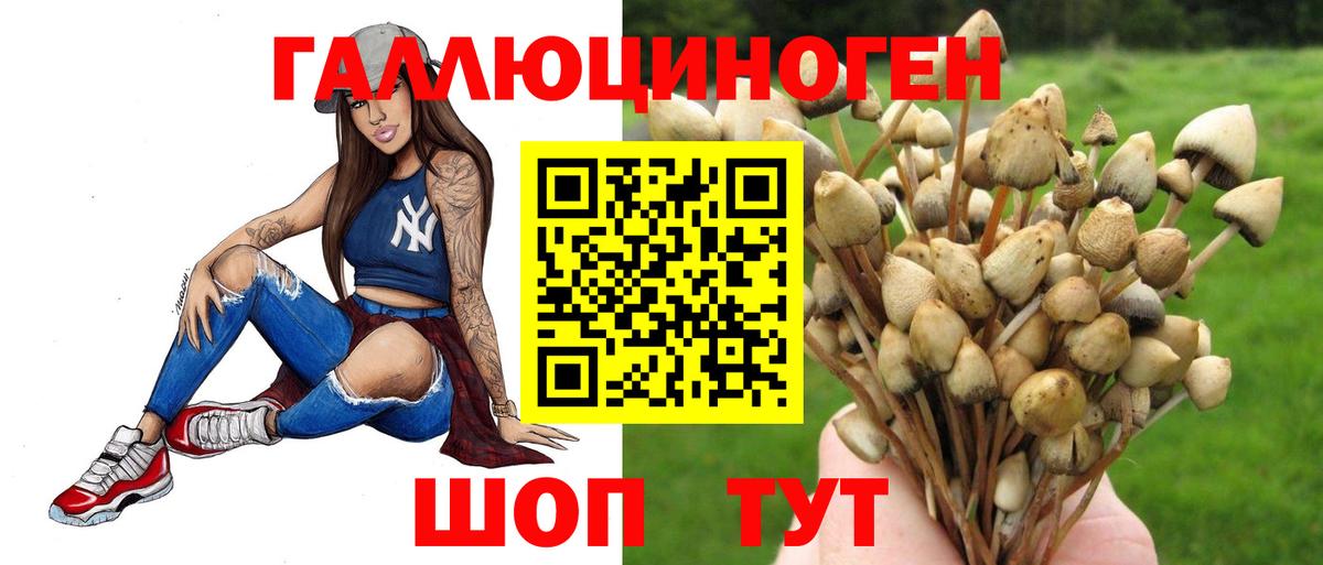 Галлюциногенные грибы MAGIC MUSHROOMS  купить наркотик  Вход с VPN  Полевской  Галлюциногенные грибы прущие грибы 